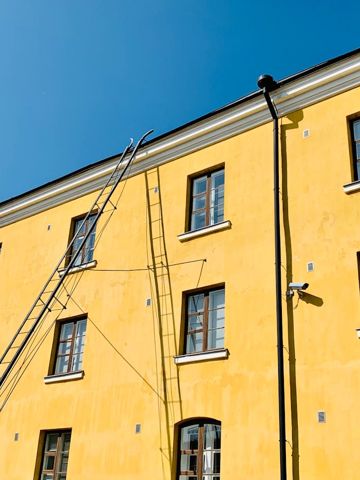 pexels photo 8287479.jpeg